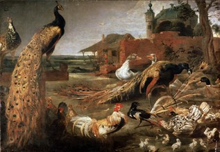 'Crow in Peacock's Fathers', c1615-1690. Artist: Pauwel de Vos