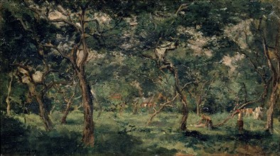 'Olive Orchard', early 1870s. Artist: Charles François Daubigny