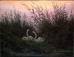 'Swans in the Reeds', c1794-c1831. Artist: Caspar David Friedrich