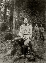 Nicholas II of Russia (1868-1918). March 1917.