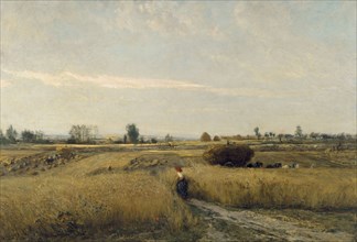 The Harvest, 1851. Artist: Daubigny, Charles-François (1817-1878)