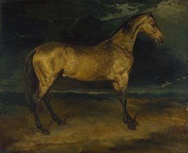 A Horse frightened by Lightning, ca 1814. Artist: Géricault, Théodore (1791-1824)