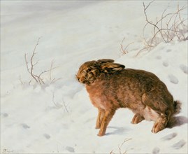 Hare in the Snow, 1875. Artist: Rayski, Louis Ferdinand von (1806-1890)