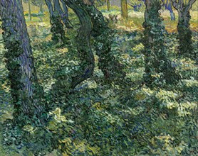 Undergrowth, 1889. Artist: Gogh, Vincent, van (1853-1890)