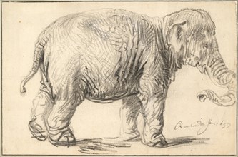 An Elephant, 1637. Artist: Rembrandt van Rhijn (1606-1669)