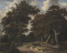 Road through an Oak Forest, 1646-1647. Artist: Ruisdael, Jacob Isaacksz, van (1628/29-1682)