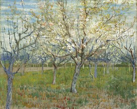 The pink orchard, 1888. Artist: Gogh, Vincent, van (1853-1890)