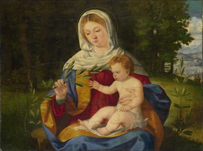 The Virgin and Child with a Shoot of Olive, ca 1515. Artist: Previtali, Andrea (ca 1480-1528)