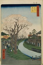 Cherry Blossoms on the Banks of the Tama River (One Hundred Famous Views of Edo), 1856-1858. Artist: Hiroshige, Utagawa (1797-1858)