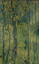 Swamp forest, 1917. Artist: Golovin, Alexander Yakovlevich (1863-1930)