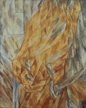 Horse Head, 1912. Artist: Le Dantyu, Mikhail Vasilyevich (1891-1917)