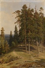 The Pine Forest, 1895. Artist: Shishkin, Ivan Ivanovich (1832-1898)