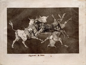Fool's Folly (from the series Los Disparates (Follies), 1815-1819. Artist: Goya, Francisco, de (1746-1828)