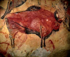 Painting in the cave of Altamira, 35,000 to 11,000 BC. Artist: Art of the Upper Paleolithic