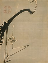 Plum Blossoms, 18th century. Artist: Jakuchu, Ito (1716-1800)