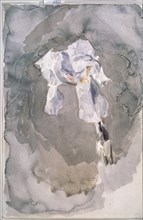 White iris. Artist: Vrubel, Mikhail Alexandrovich (1856-1910)