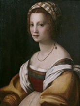 Portrait of a woman. Artist: Andrea del Sarto (1486-1531)
