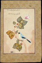A Bird on a Hazel Branch. Artist: Shafi Abbasi, Muhammad (1628-c. 1674)