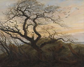 The Tree of Crows. Artist: Friedrich, Caspar David (1774-1840)