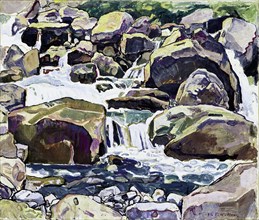 Mountain Stream near Champéry. Artist: Hodler, Ferdinand (1853-1918)
