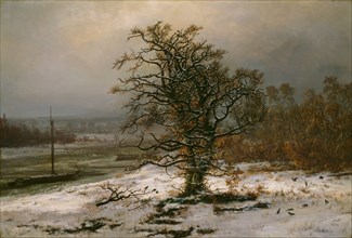 Oak Tree by the Elbe in Winter. Artist: Dahl, Johan Christian Clausen (1788-1857)