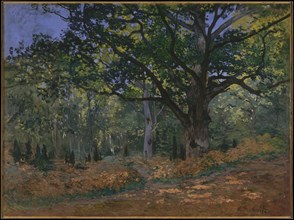 The Bodmer Oak, Fontainebleau Forest, 1865. Artist: Monet, Claude (1840-1926)