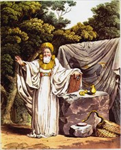 Arch-Druid in his full Judicial Costume (From The Costume of the Original Inhabitants of the Britis Artist: Smith, Charles Hamilton (1776-1859)