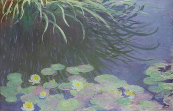 Water Lilies with Reflections of Tall Grass, 1914-1917. Artist: Monet, Claude (1840-1926)