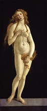 Venus, 1490.