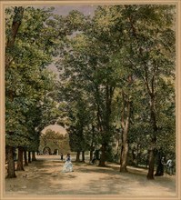 Avenue in the Schönbrunn palace park, ca 1871-1874.