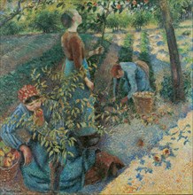 Apple Picking, 1886.