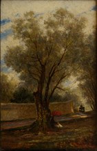 Olive Trees at Menton, 1881.