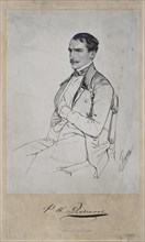 Portrait of Count Felix Nikolayevich Sumarokov-Elston (1820-1877).