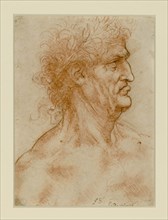 Head Of A Man In Profile Crowned With Laurel.