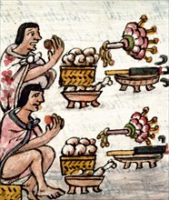 Aztec cuisine. From Historia General de las Cosas de la Nueva España by Bernardino de Sahagún.