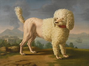 Portrait of Codina, believed to be lady Hamilton's poodle, the bay of Naples with a British man-of-w