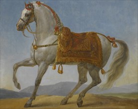 Marengo, the horse of Napoleon I of France.