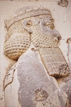 Bas-relief of King Darius I (Detail).