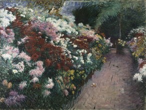 Chrysanthemums, 1888.