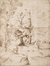 The Tree Man, c. 1505.