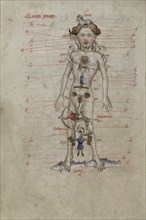 A Zodiac Man diagram showing the seasons for bloodletting. From Liber Cosmographiae, 1408.