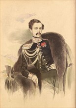 Portrait of Count Nikolay Vladimirovich Adlerberg (1819-1892).