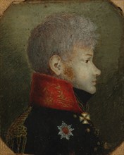 Count Mikhail Petrovich Dolgorukov (1780-1805), 1808-1809.