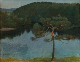 Pine tree by the shore, 1900.