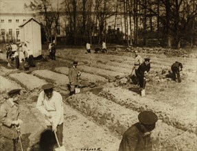 Tsar Nicholas II and family gardening at Alexander Palace during internment at Tsarskoye Selo, 1917,