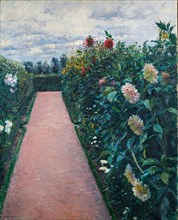 Garden Path with Dahlias in Petit Gennevilliers, 1890-1891.