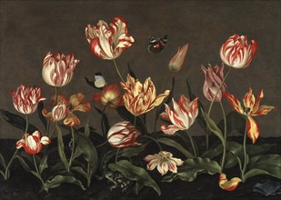Still Life with Tulips.