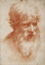 Bearded man's head, c. 1525.