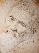 Portrait of Michelangelo Buonarroti (1475-1564), c. 1550.