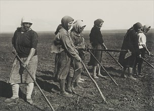 Kolkhos women on the field, Early 1930s.